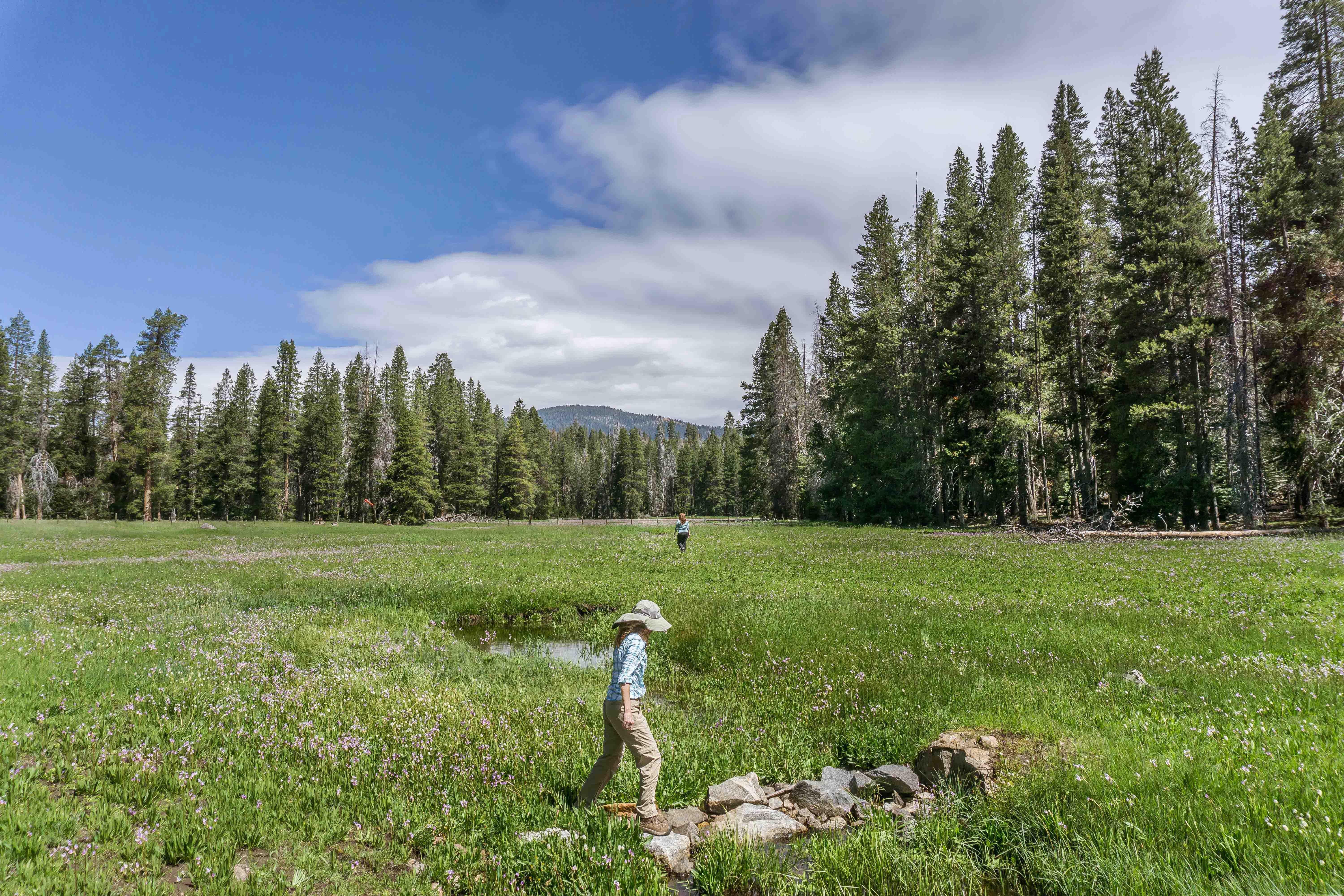 Holiday Inn Express & Suites Oakhurst-Yosemite Park Area By Ihg Esterno foto